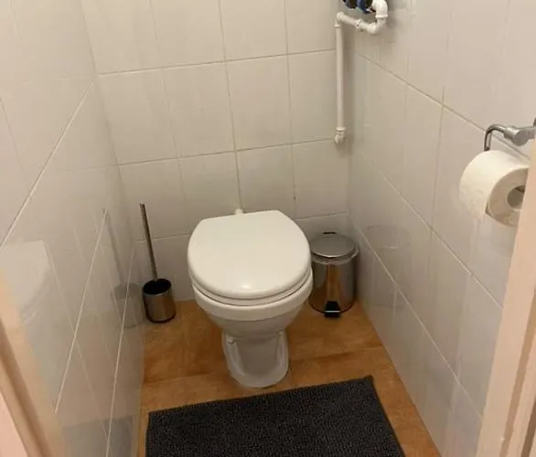 Greatforest 2 Debrecen